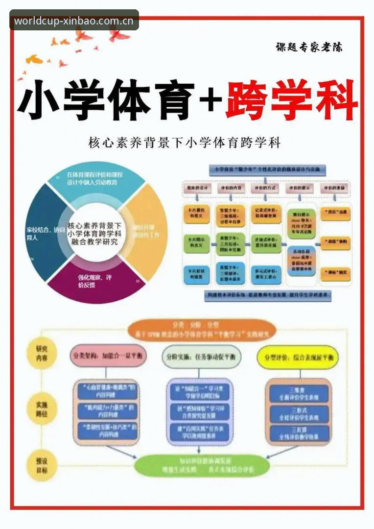 从入门到精通：掌握新宝体育平台最新版的实用指南与必备知识